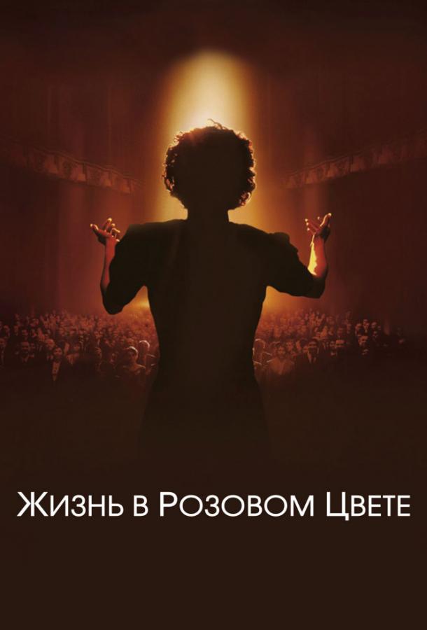 Фильм Жизнь в розовом цвете 2007 смотреть онлайн с Жан-Поль Рувом и Эмманюэль Сенье